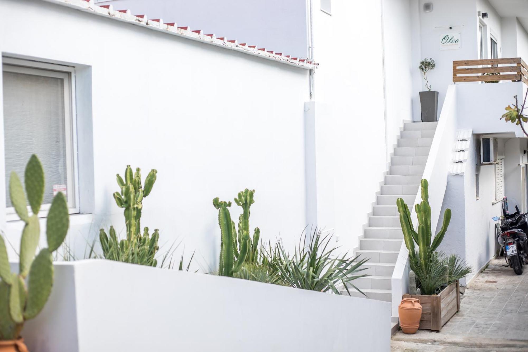 Apartment Olea Luxury Afandou
