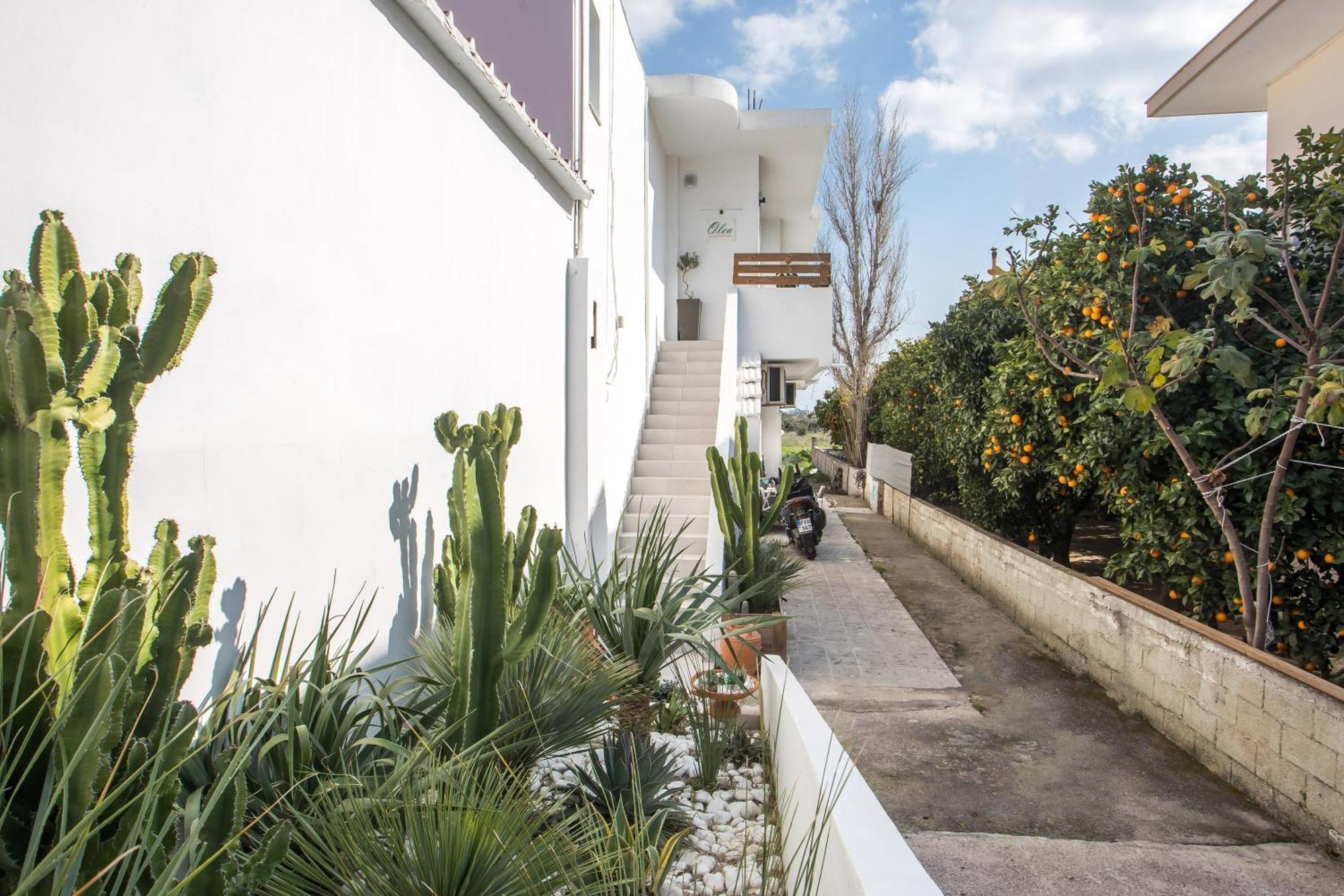 Olea Luxury * Afantou